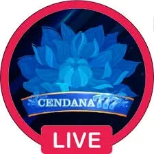 cendana777 APK Terbaru dengan Fitur Lengkap